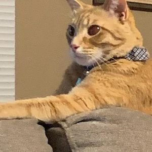 Meet your Posher, Julia